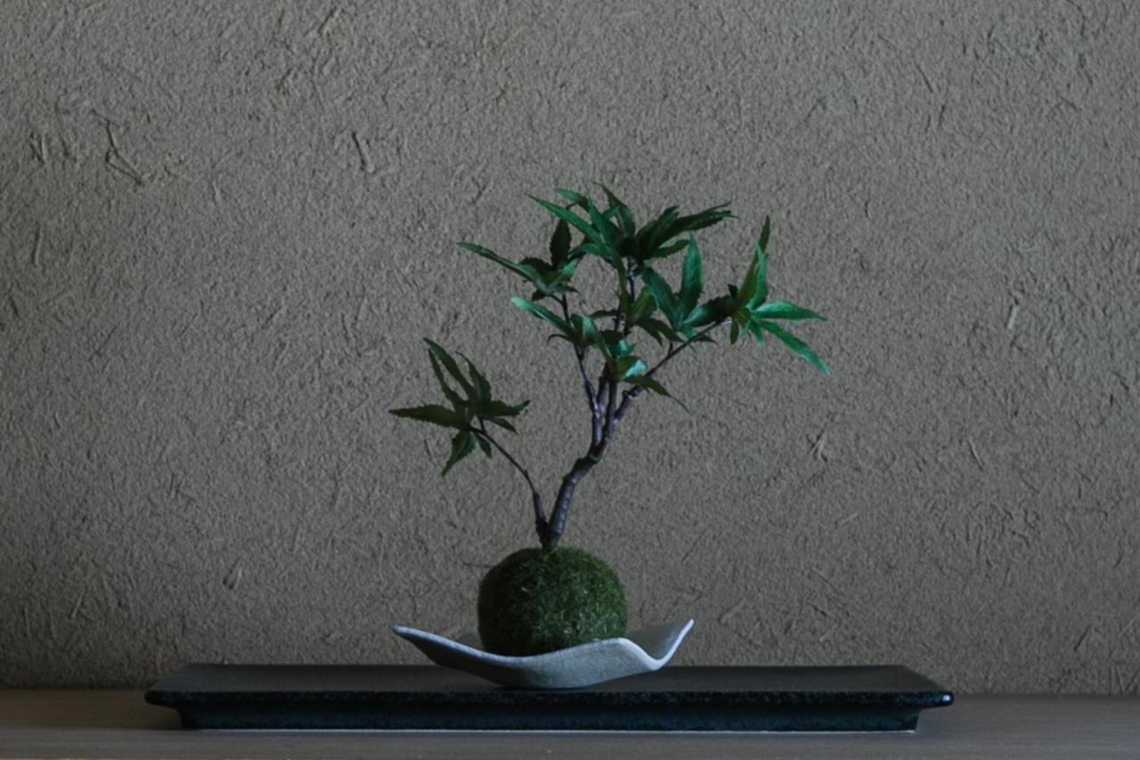 No.8 Kyoto别墅 外观 照片